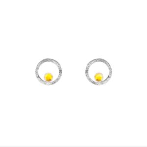 2 circle earrings